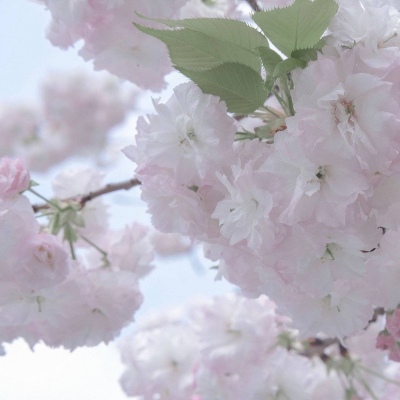 Furry绘画细节处理福瑞交流群